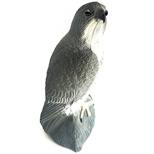 YOFIT Fake Horned Hawk Decoy for Garden Protection: Natural Enemy Pest Deterrent Scarecrow
YOFIT Bird Scarecrow for Gard