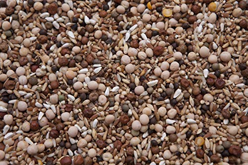High-Quality No Corn Racer Pigeon Mix for Competitive Pigeons - 8 lbs
| Premium Race Pigeon Food, No Corn Formula - 8 l
