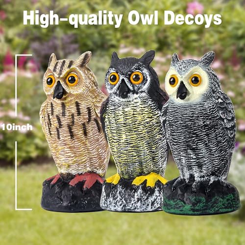 3 Pack 10 Inch Lifelike Owl Decoy to Scare Birds, Racoons, Ducks, Squirrels, Pigeons, Hawks
| Plastic Owl Scarecrow Scu
