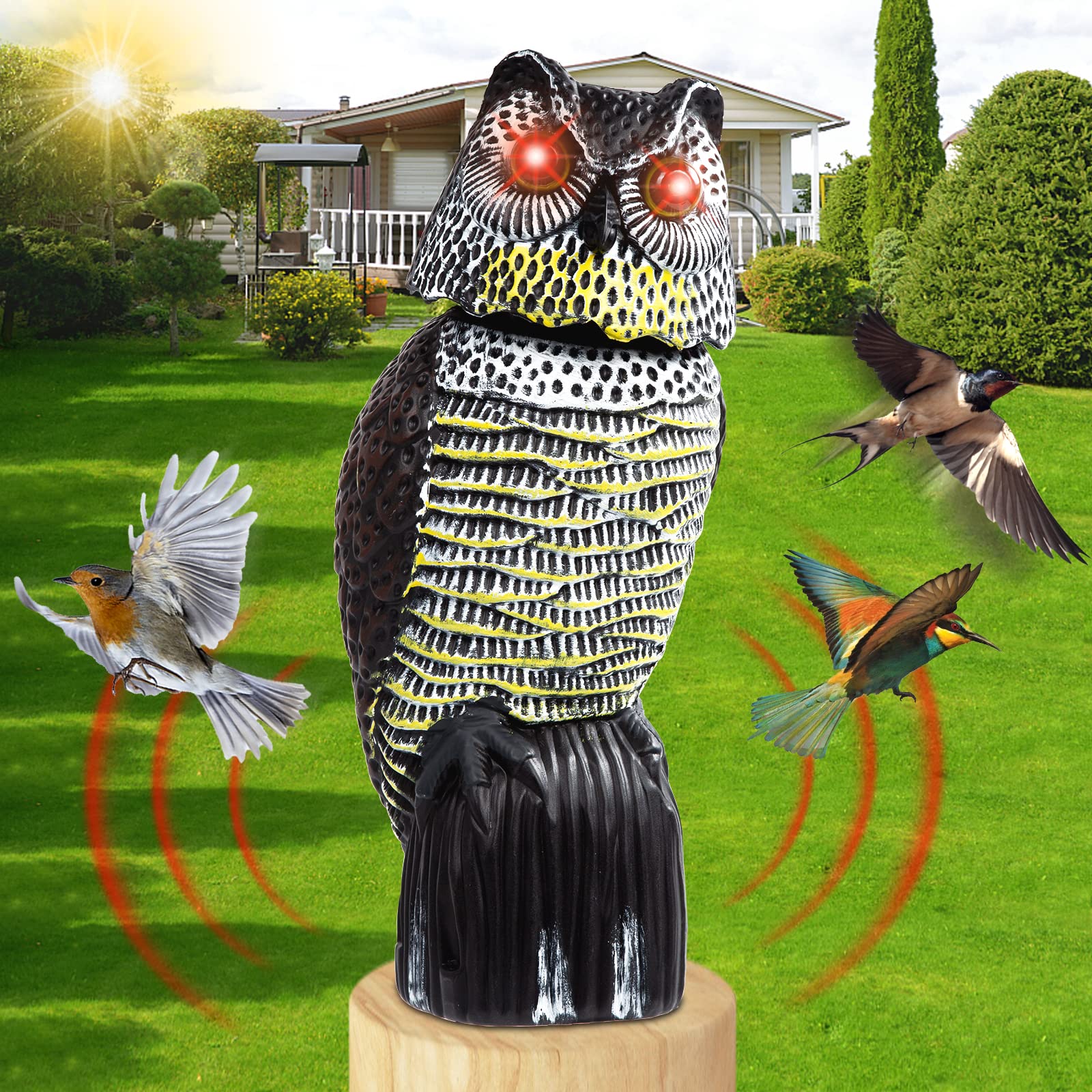 Solar Owl Decoys to Scare Pigeons Away
| Rotating Head Owl Bird Deterrents for Outside Use
| Real Flashing Eyes Owl Sca