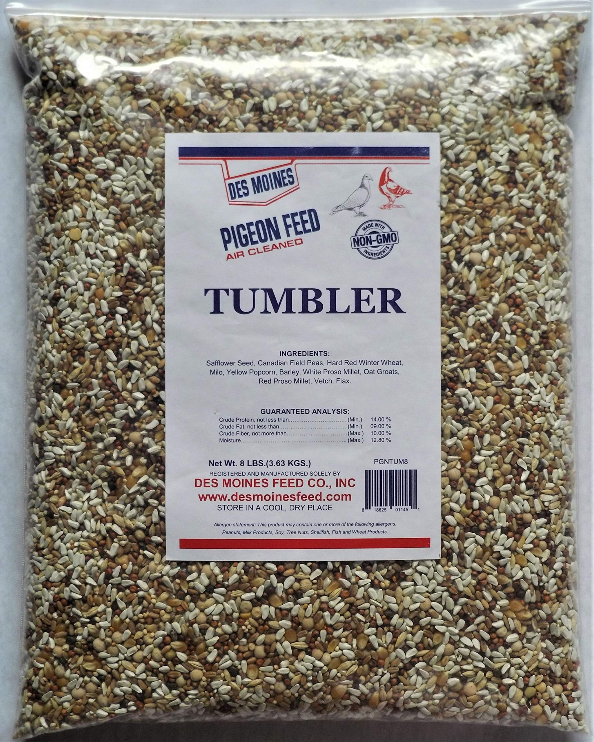 Tumbler Pigeon Mix (14%) - High Protein for Growing Pigeons
| Tumbler Pigeon Mix (14%) - Premium Seed Blend for Racing